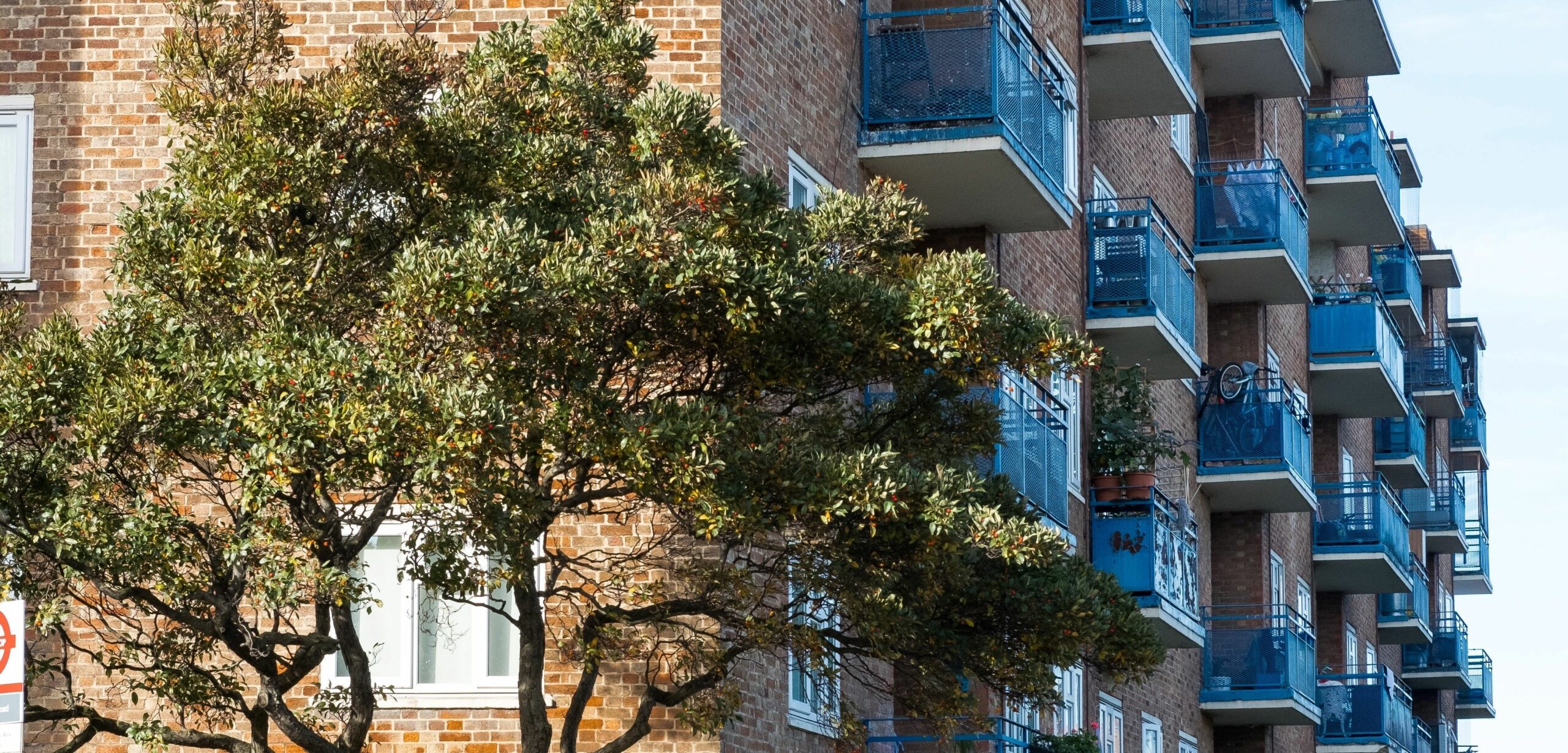 Aylesbury Vale District Council ( Housing) Bucks Mind