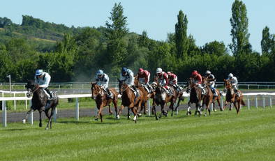 Horse raceing
