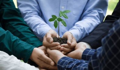 Many hands holding a small shrub
