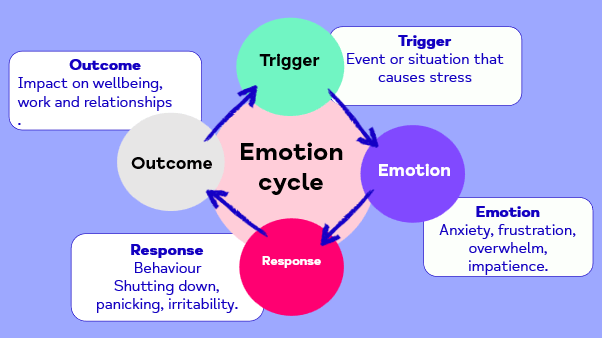 Infographic showing the Emotion Cycle